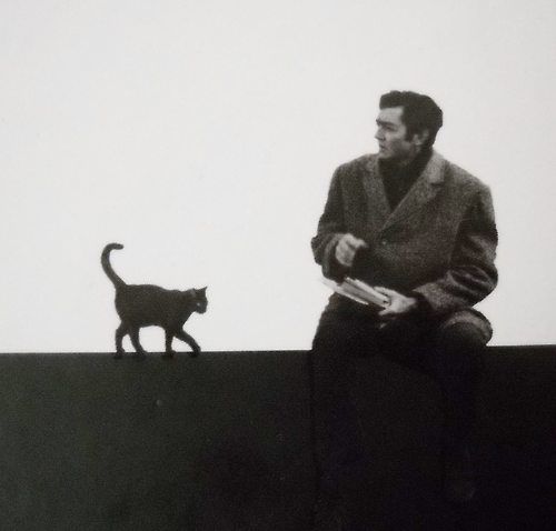 excerpt-image
